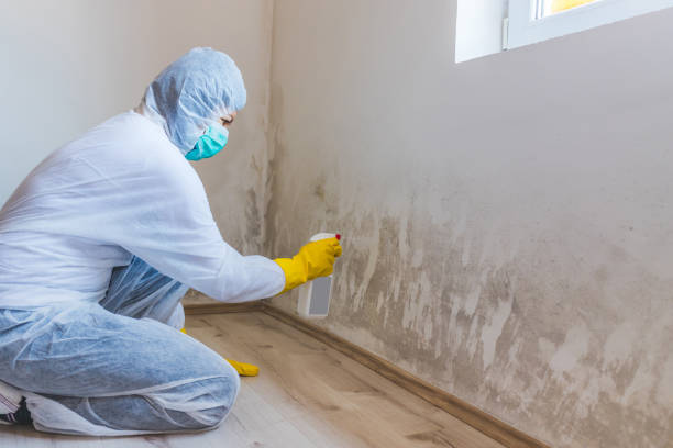 Bathroom Mold Removal assessment in Wilmington bathroom